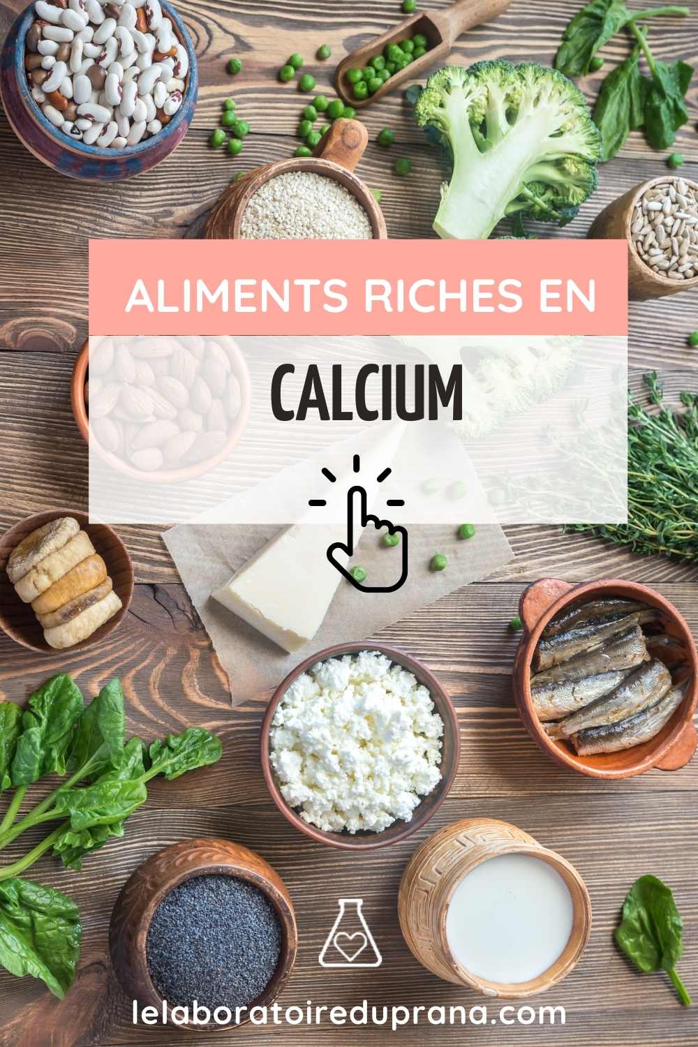 aaliments riches en calcium