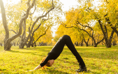 Comment adapter sa pratique de yoga à l’automne ?