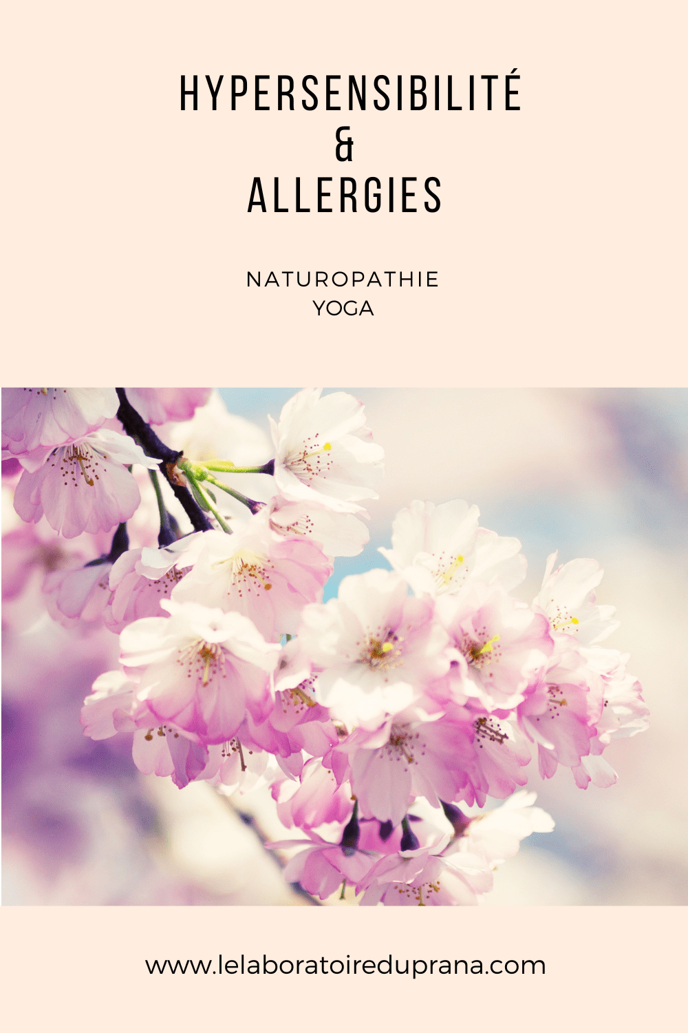 Allergies et hypersensibilité