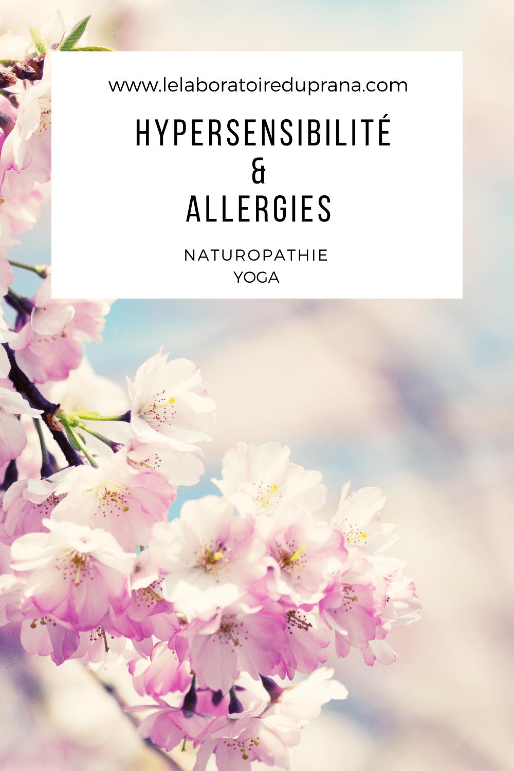 Allergies et hypersensibilité